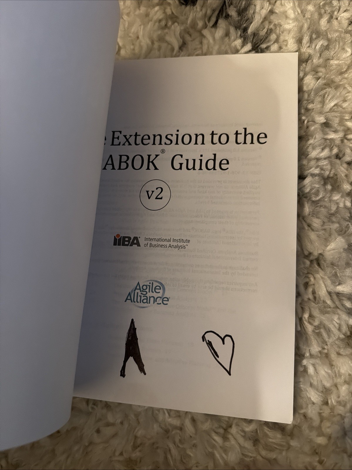 Agile Extension to the BABOK(R) Guide: Version 2 by Iiba