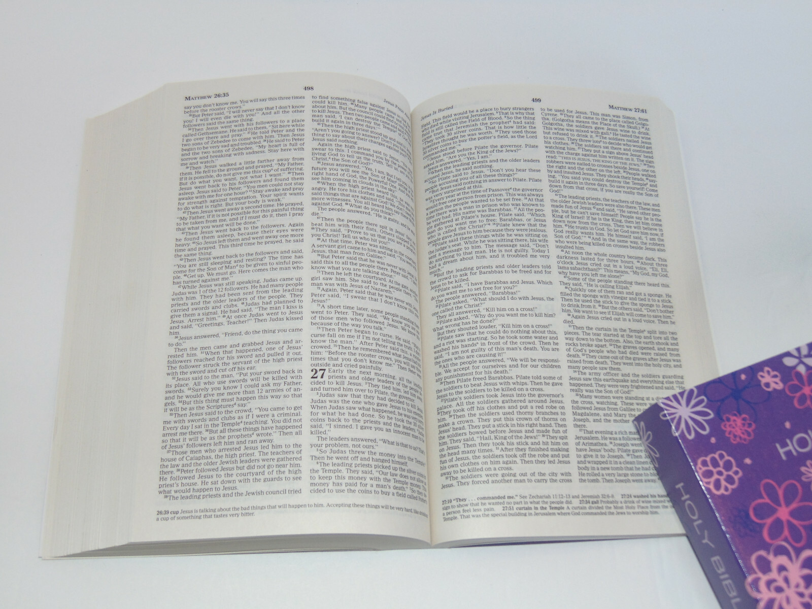 ICB Holy Bible, Purple Cover, International Children’s Bible Ages 7-11 Paperback
