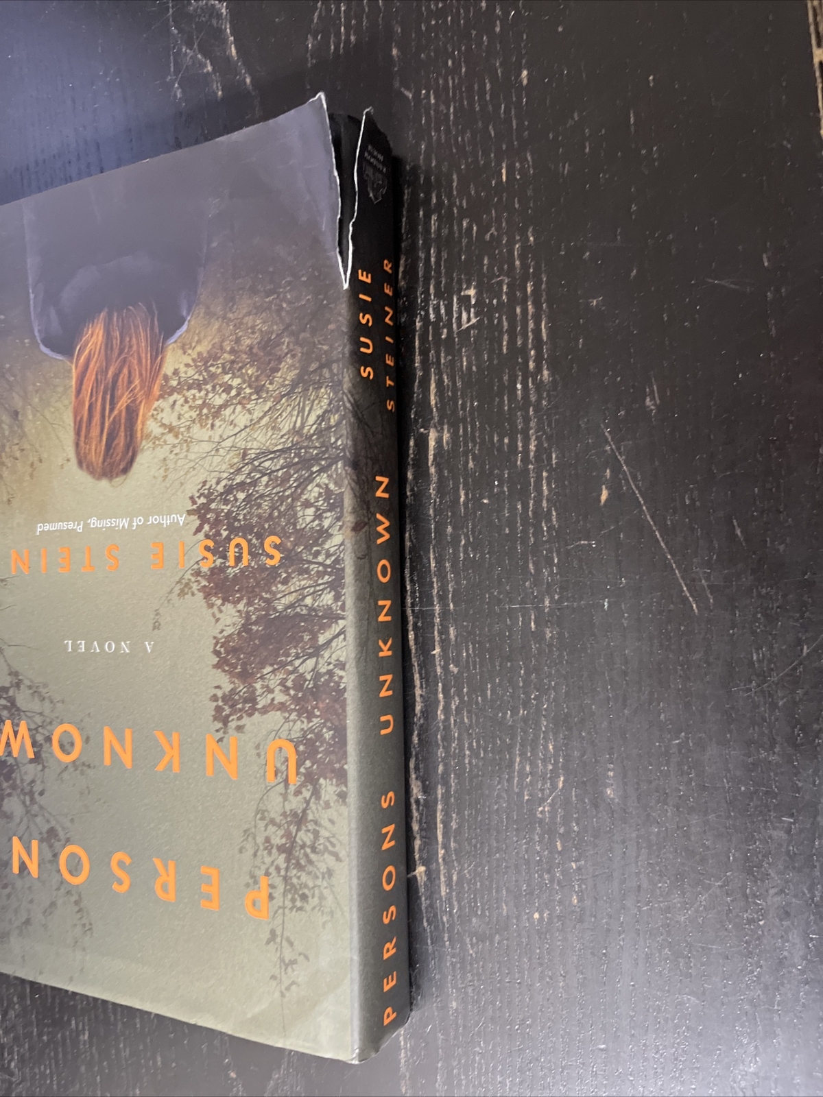 Manon Bradshaw Ser.: Persons Unknown : A Novel by Susie Steiner (2017,…