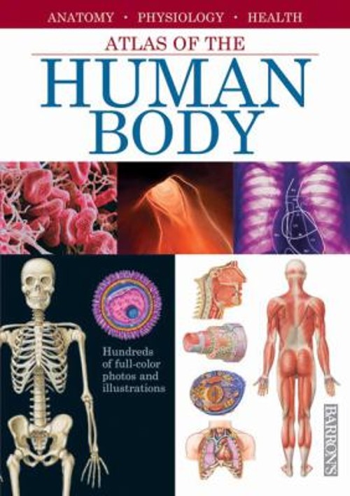 The Human Body Hardcover Cassan, Adolfo Marcel Socias Studio Staf