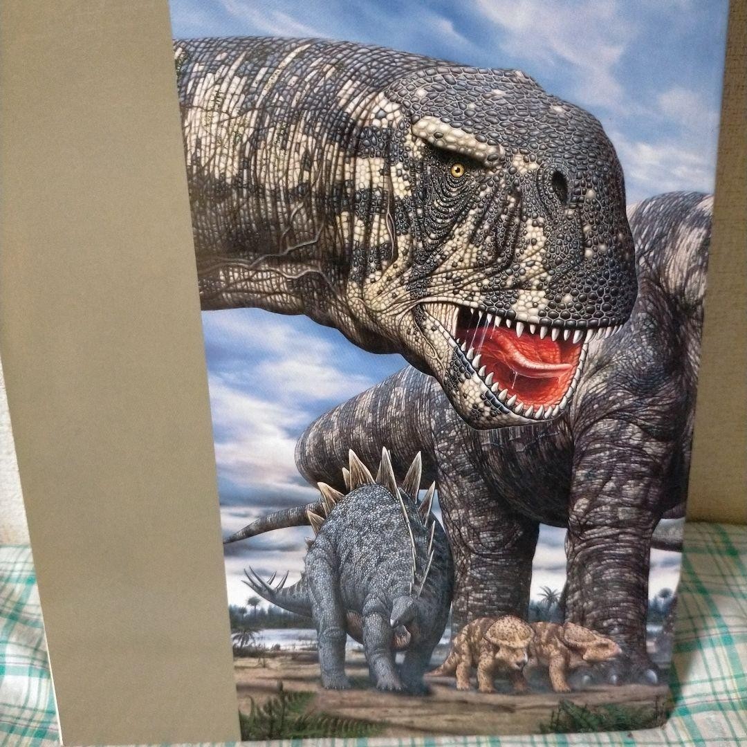 Official Guide Book Dinosaur Expo Fossils Photos China 21cm