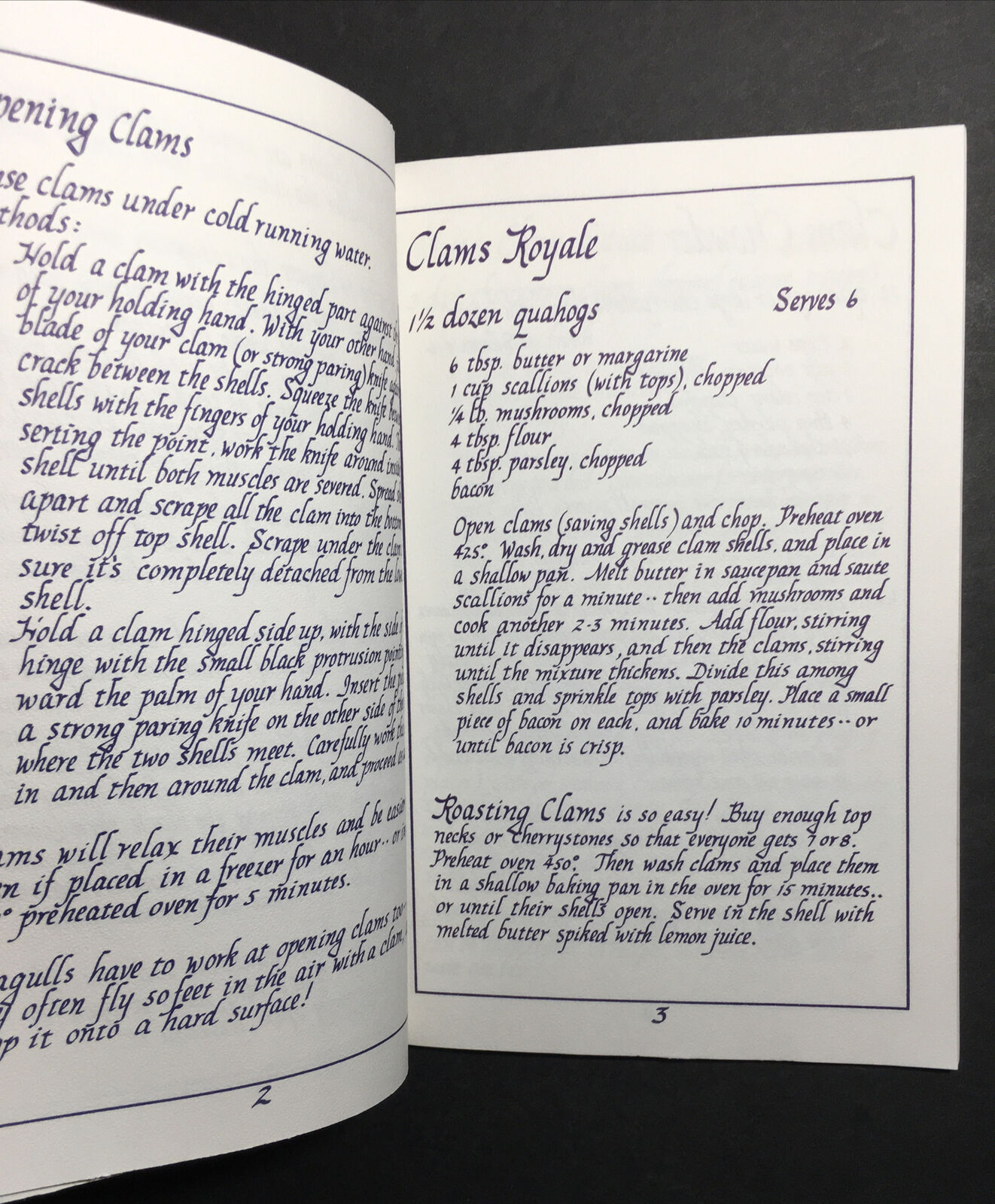 SHELLFISH RECIPES OF THE SHORE, JOANNE VAN RODEN, 1981, 35 PAGES, LIKE NEW PPD
