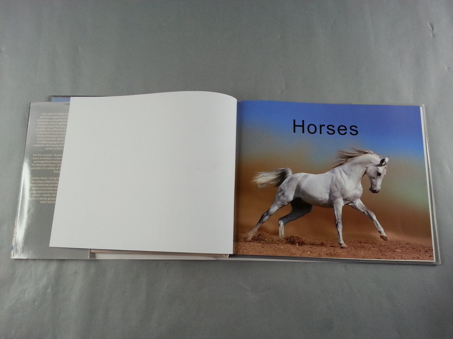 Horses Photo Book Parragon 2010 Illustrated Majestic Animals Equestrian