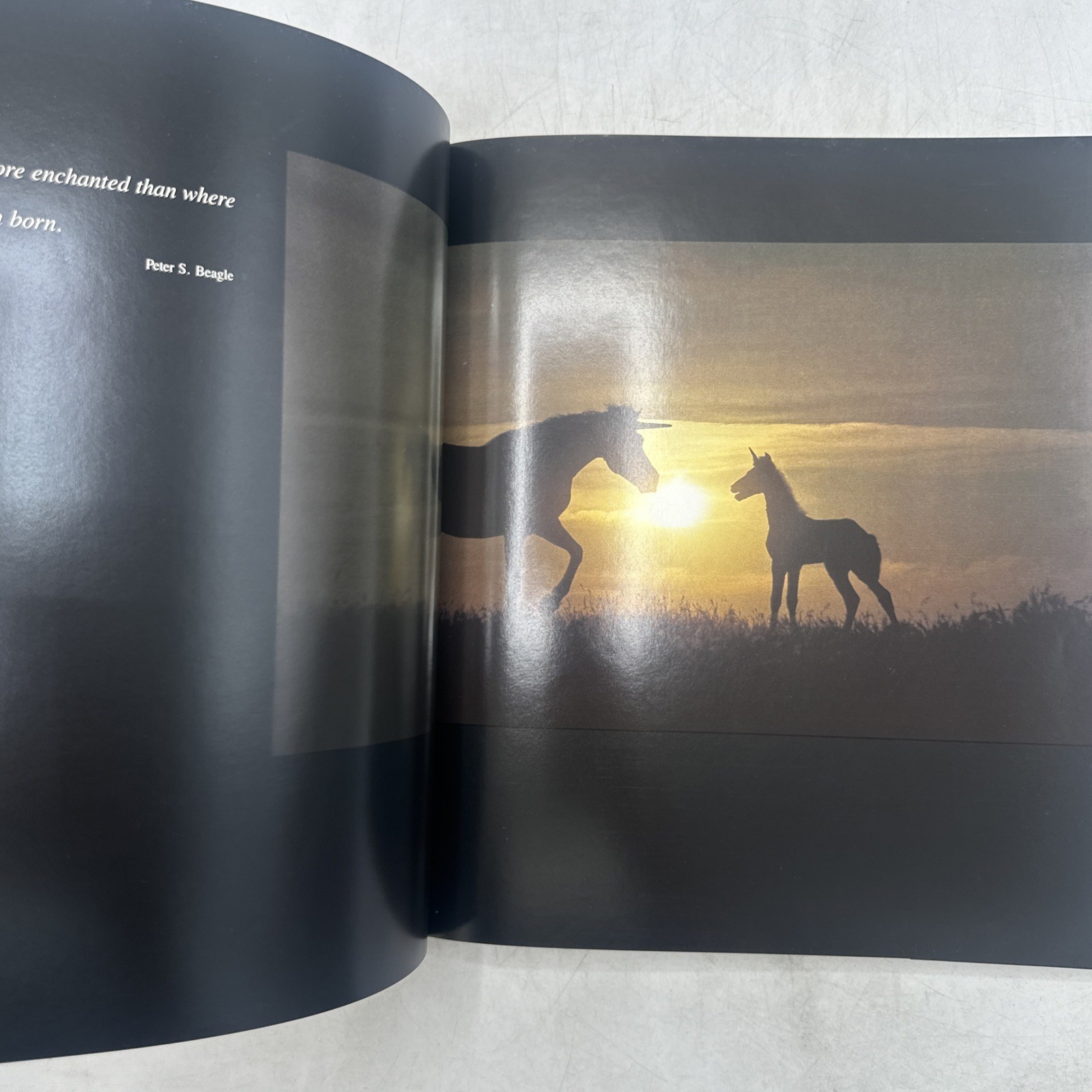 SIGNED Unicorns I Have Known Robert Vavra Hardcover wtih Dust Jacket 1983 HCDJ