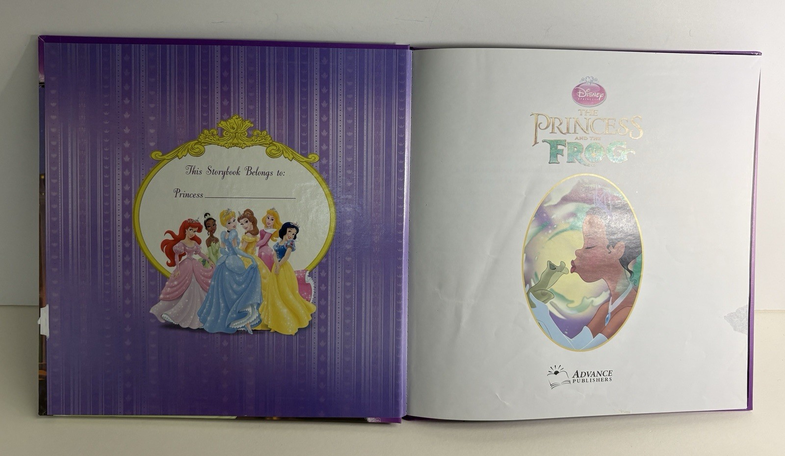 Lot of 9 Disney Princess Books: 1, 2, 3, 6, 7, 9, 10, 11, 12, Illustrated HCs