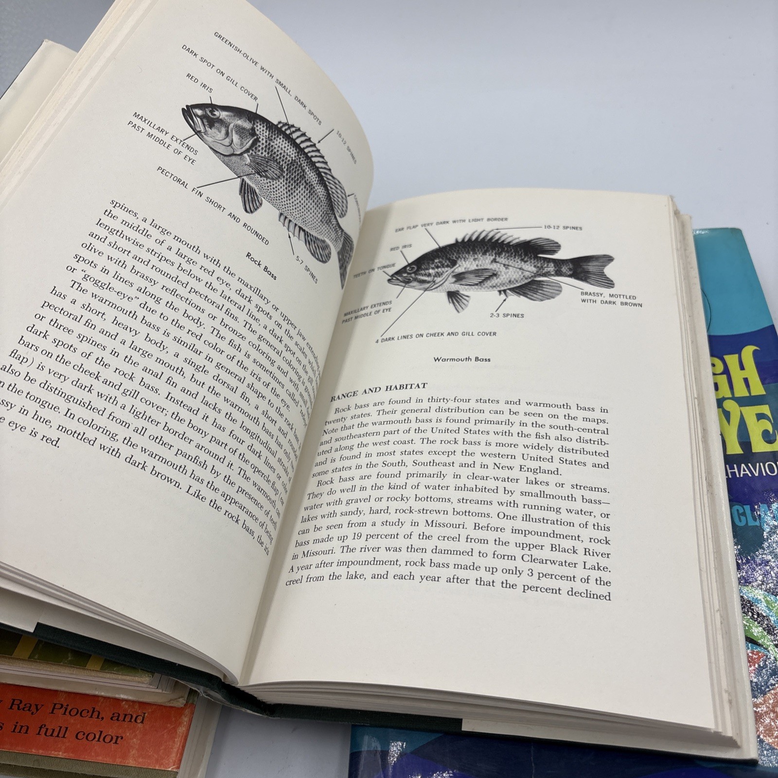 VTG Fishing Books Bass, Panfish,Fresh Water, Fish Eye Lot 4 Decor Collectible
