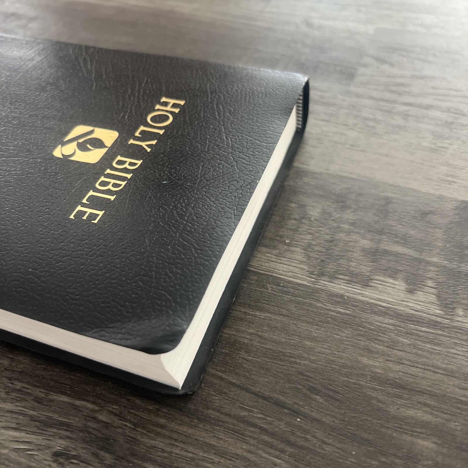Holy Bible The New Revised Standard Version Hendrickson