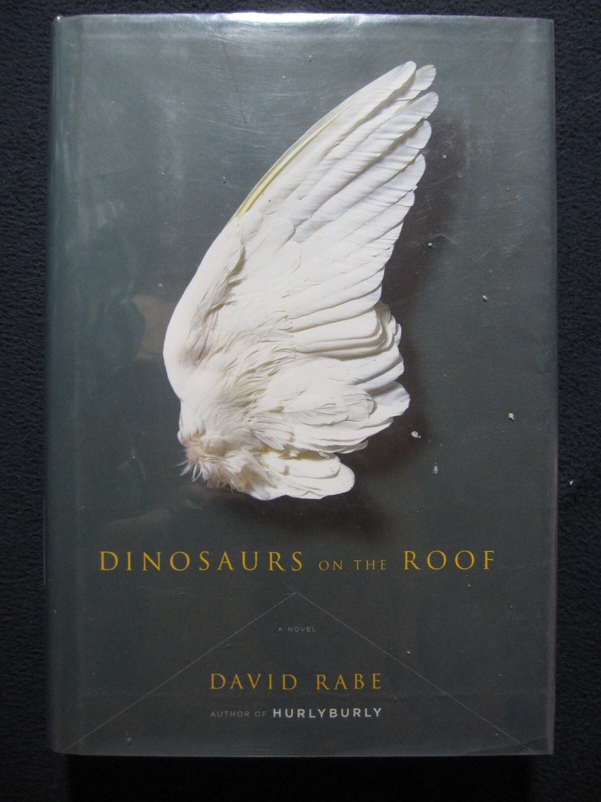 Dinosaurs on the Roof: A Novel Rabe, David