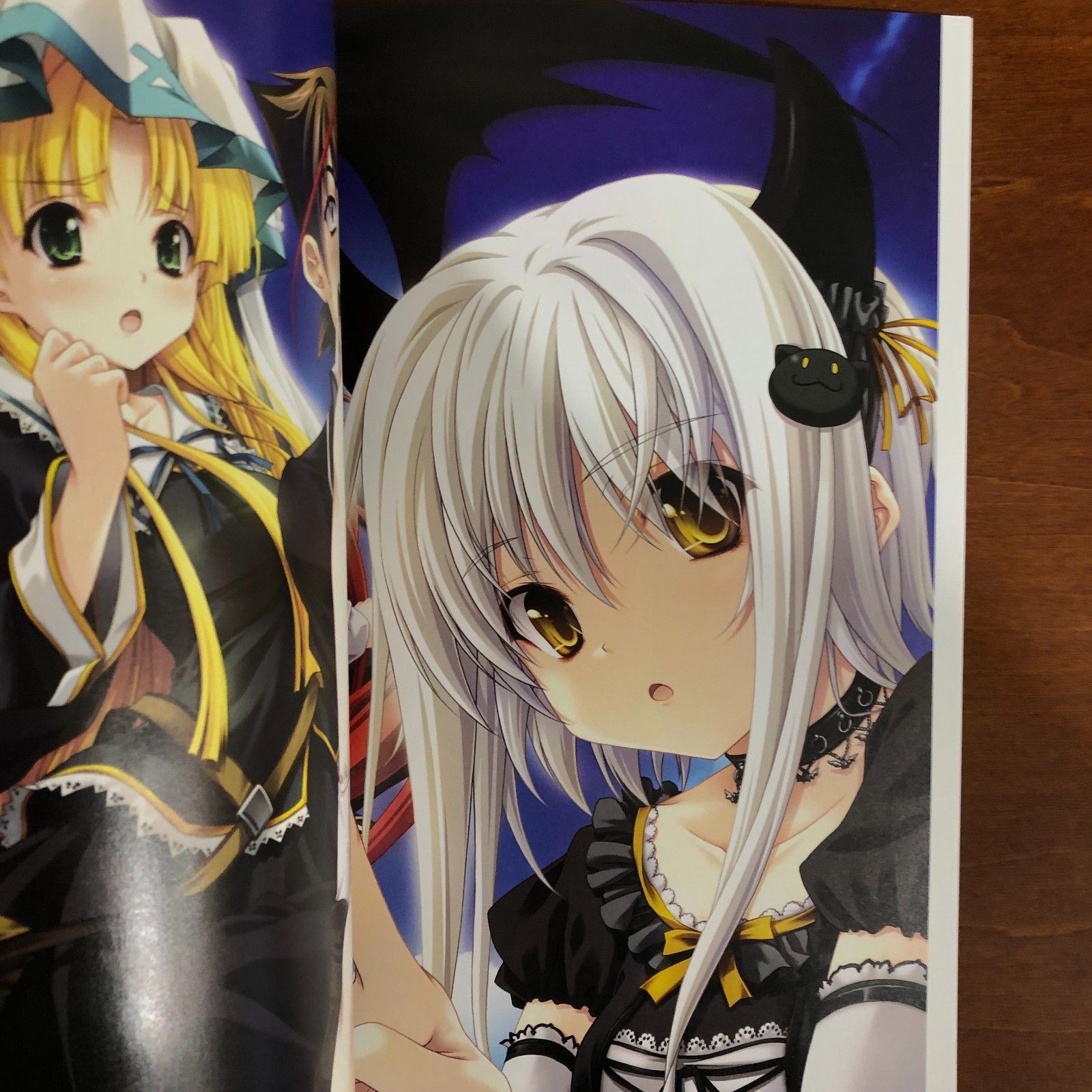 High School DxD Art Book Miyama Zero Art Works Illustration