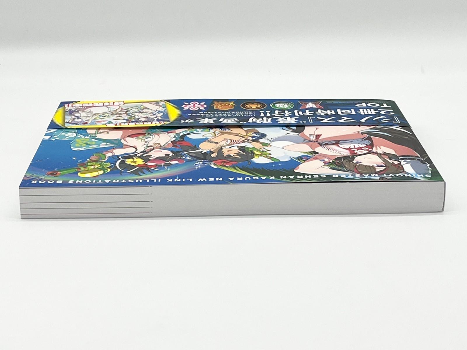 Shinobi Master Senran Kagura New Link Illustrations Book Vol 1-2 Japanese Text