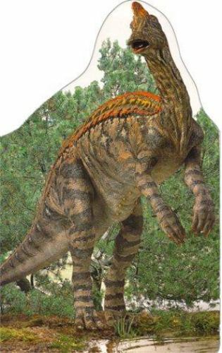 Dinosaur Board Books: Corythosaurus by Dorling Kindersley Publishing Staff