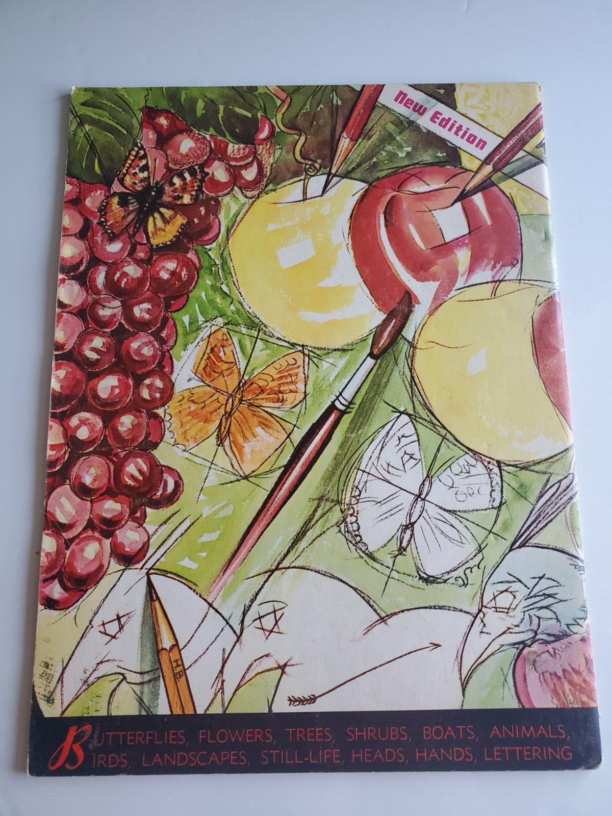 How To Draw Book by Walter T Foster – Butterflies, Flowers, Trees, Shrubs, Etc