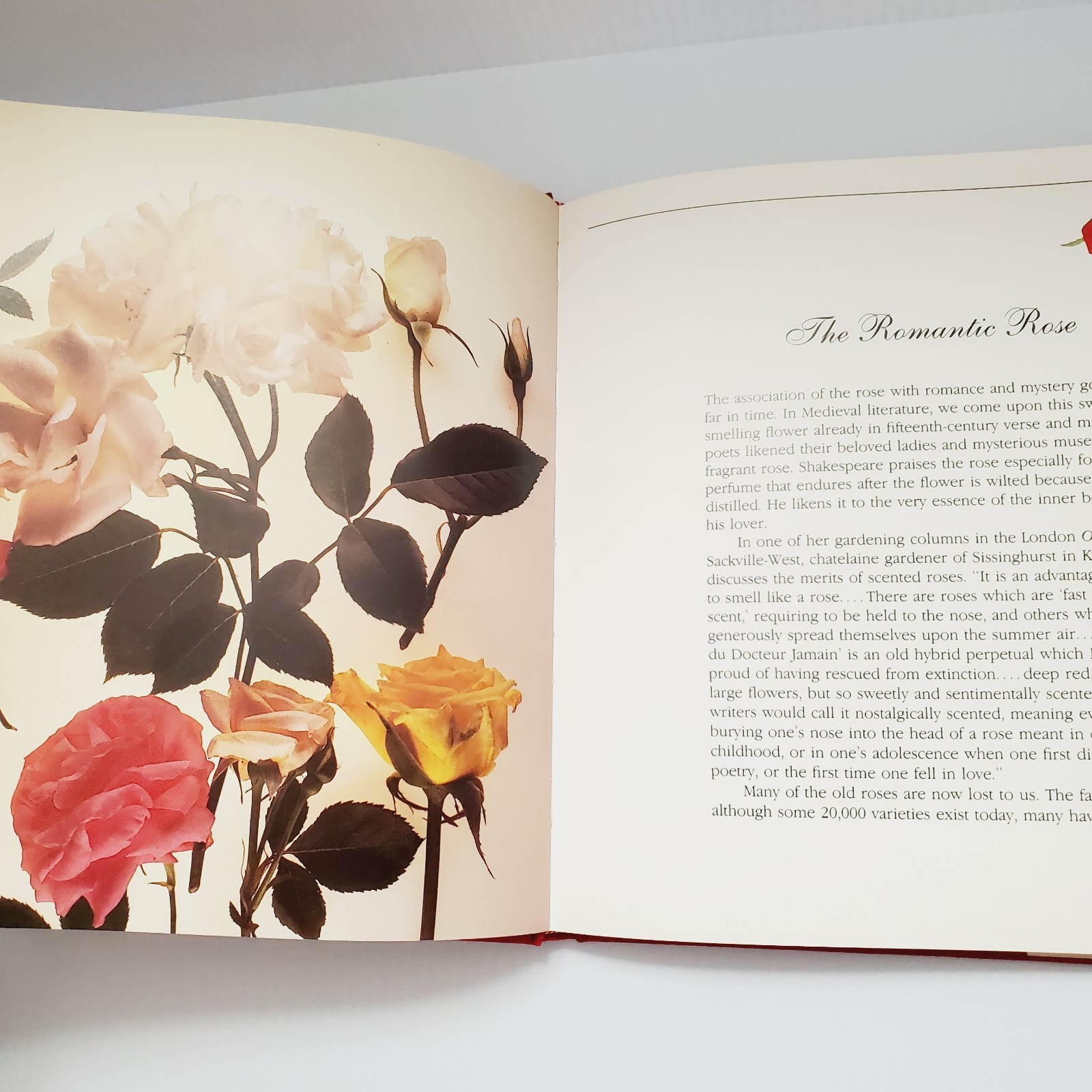 The Romantic Rose Hardcover Book Gift Flowers Gardening Plants