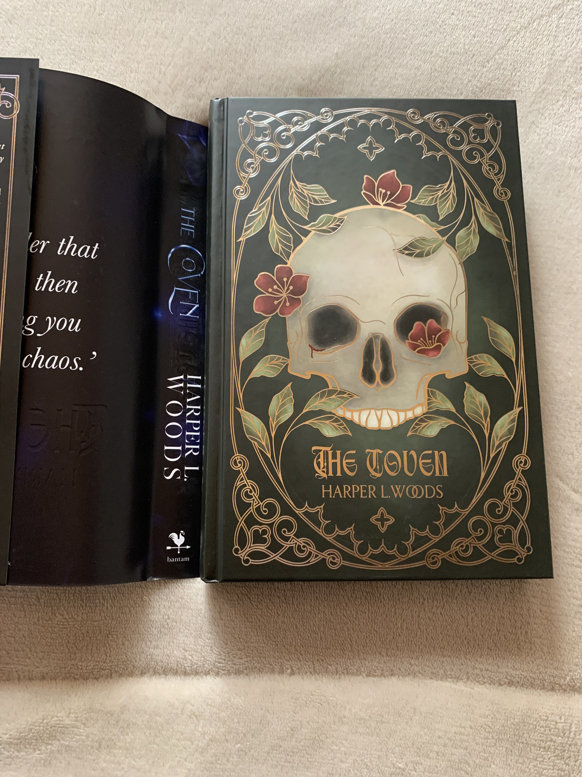 The Coven Fairyloot Exclusive Signed Edition by Harper L. Woods Stenciled Edges