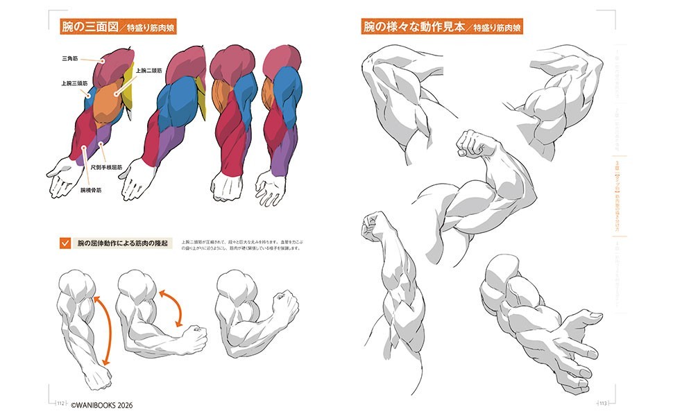 How to Draw Muscle Girls Illustration Book Manga Sketch Technique Japanese Text