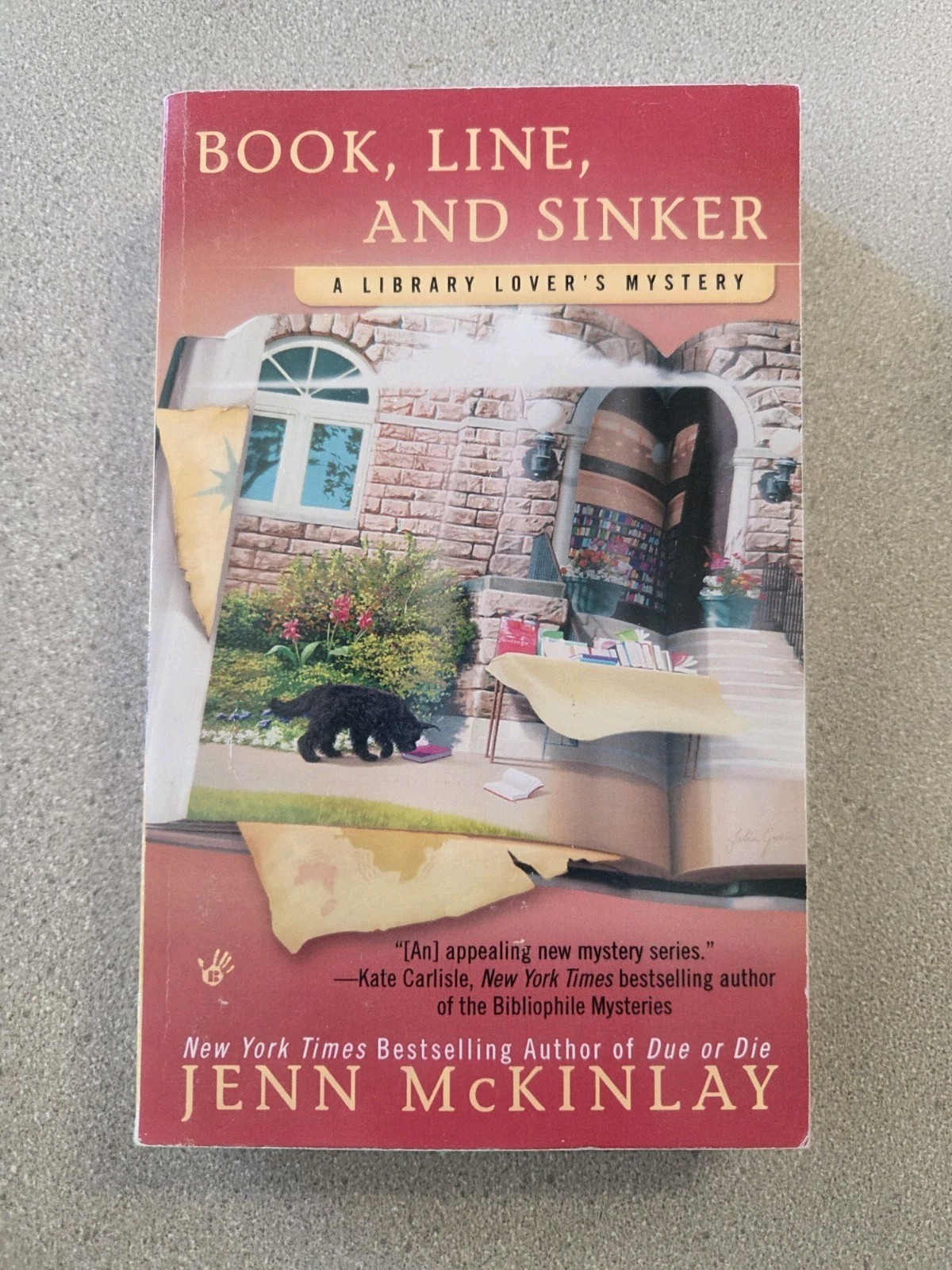 Jenn McKinlay Lot Of 12 Books. 10 Library Lovers Mysteries And 2 Bluff Romance