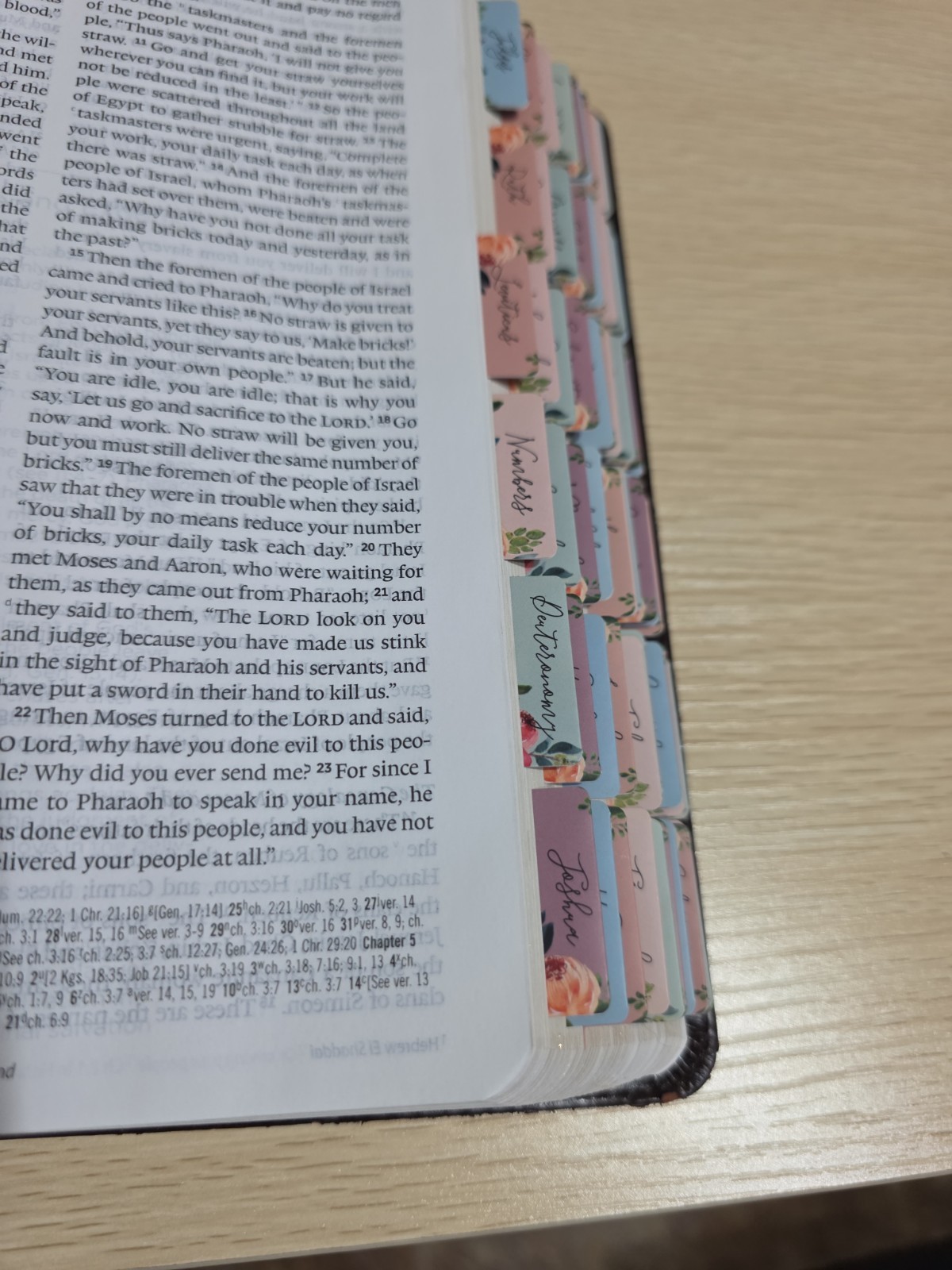 ESV Systematic Theology Study Bible (TruTone, Brown/Cordovan, Portfolio Design)