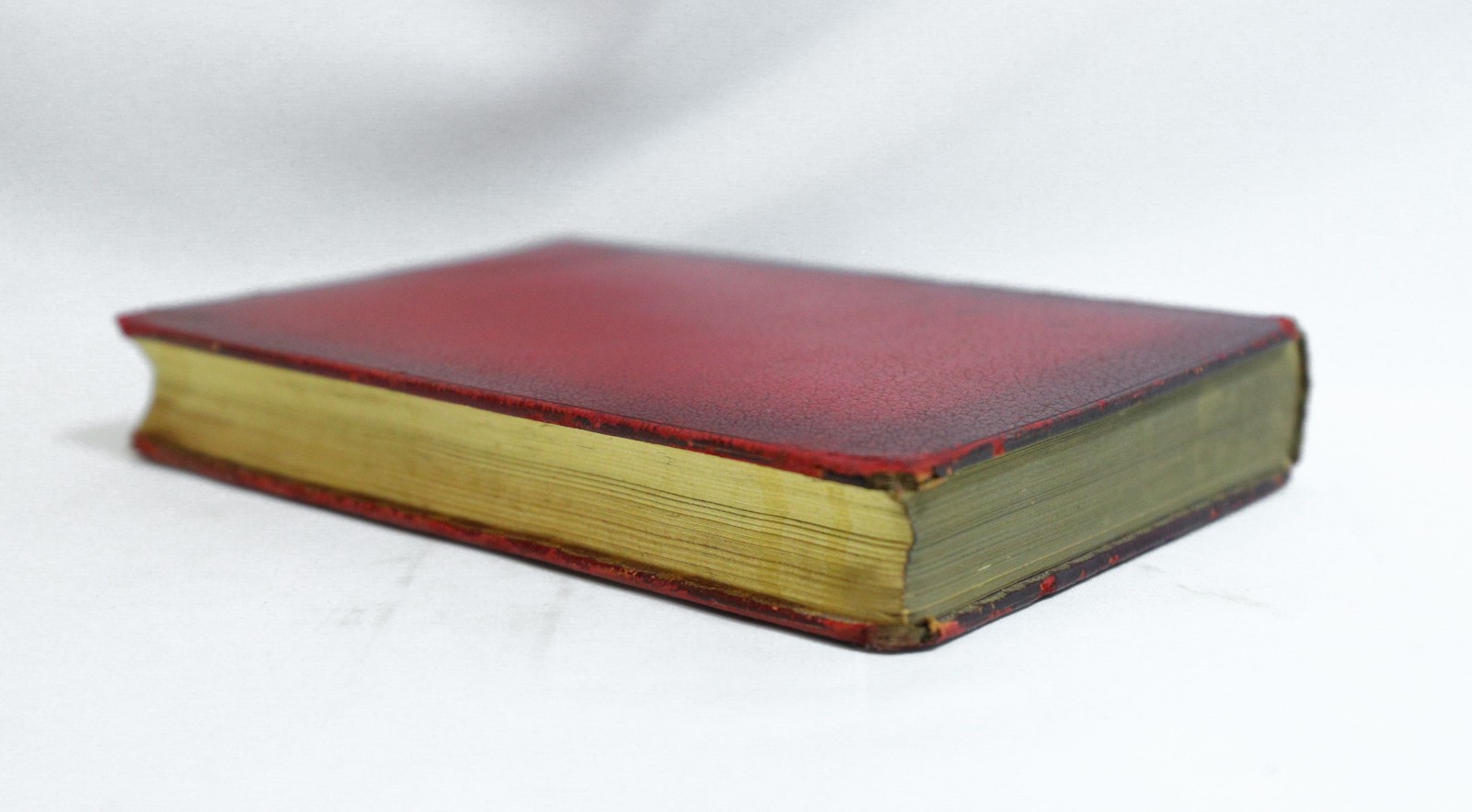 The Household of Sir Thomas More, 1896 Illlustrated, Fine Binding, Gilt Pages