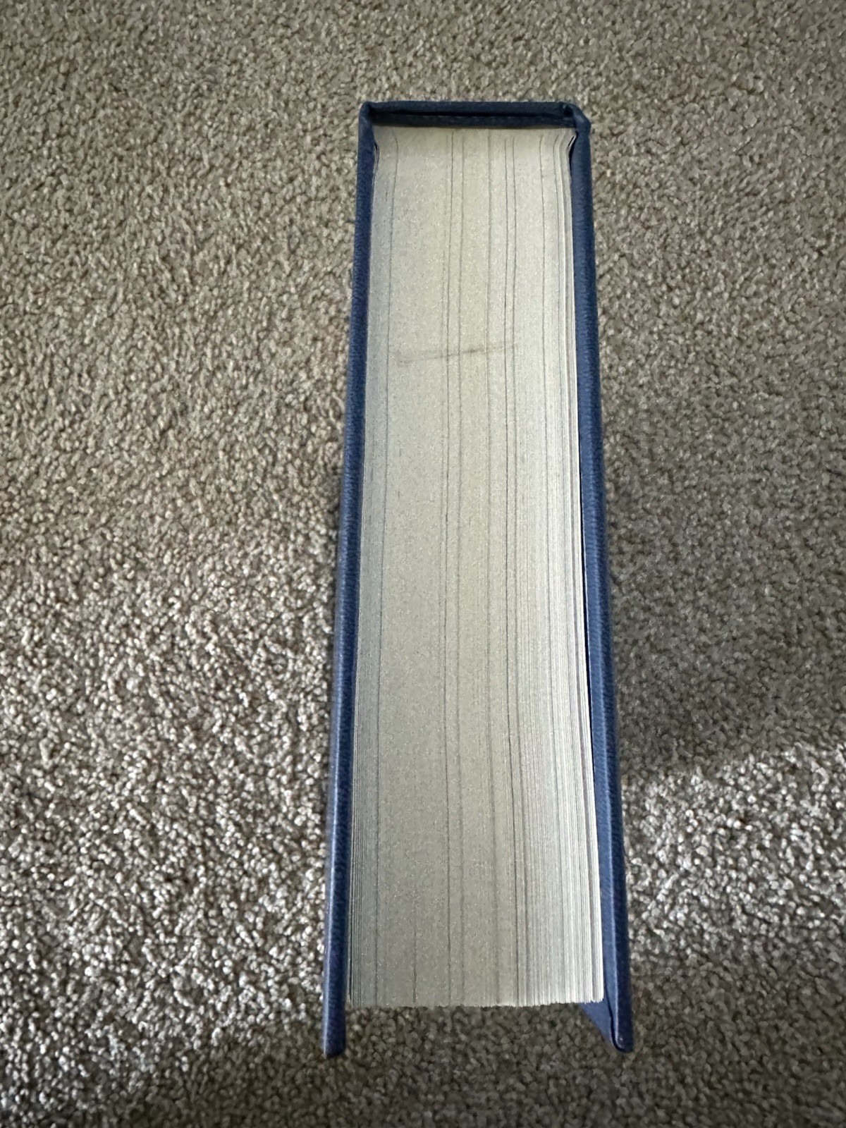 Brandon Sanderson (First Edition) Yumi and the Nightmare Painter Secret Project