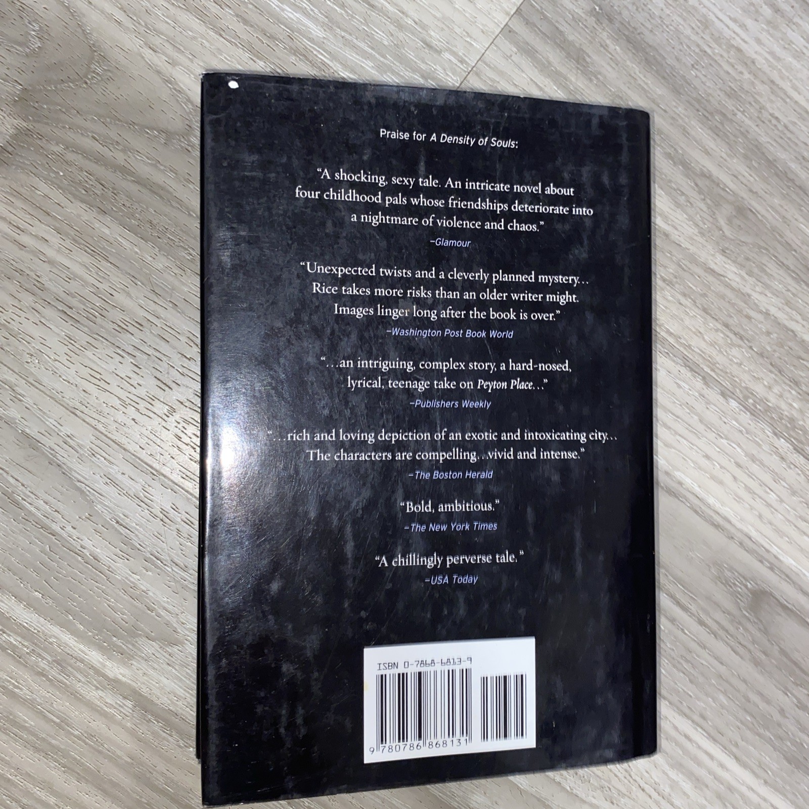 Snow Garden : A Novel by Christopher Rice (2002, Hardcover)