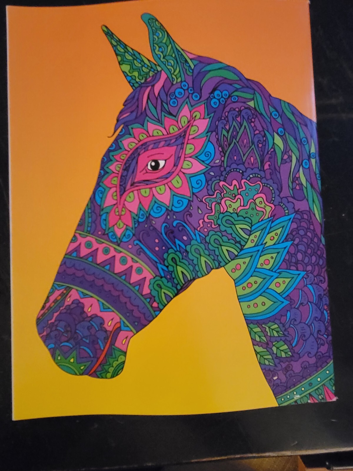 COLORS OF THE WILD Vol. 19 Adult Coloring Book With 47 Prints Ready To Frame!