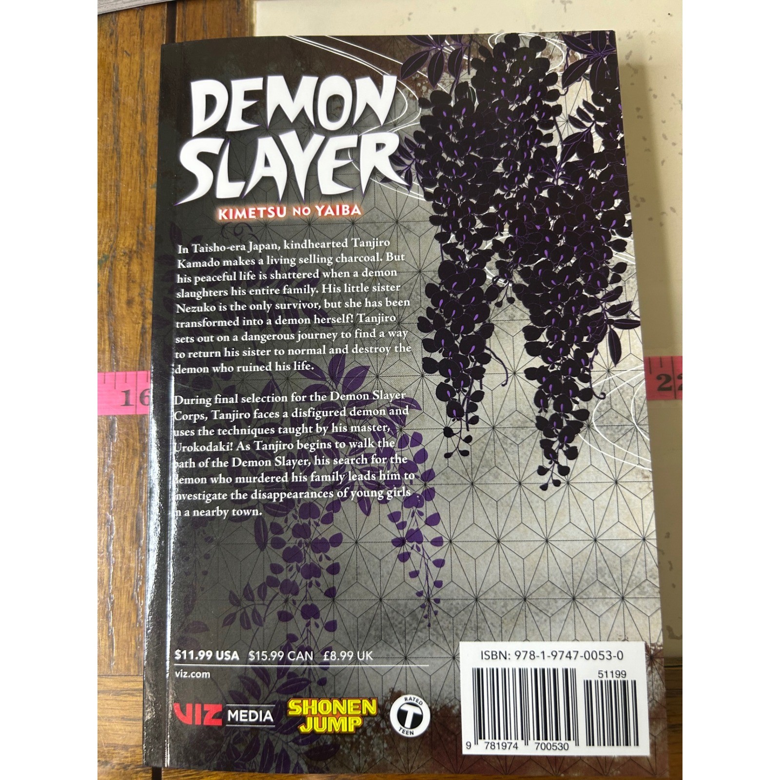 Demon Slayer Kimetsu no Yaiba Manga Volumes 1 2 3 VIZ Media Shonen Jump