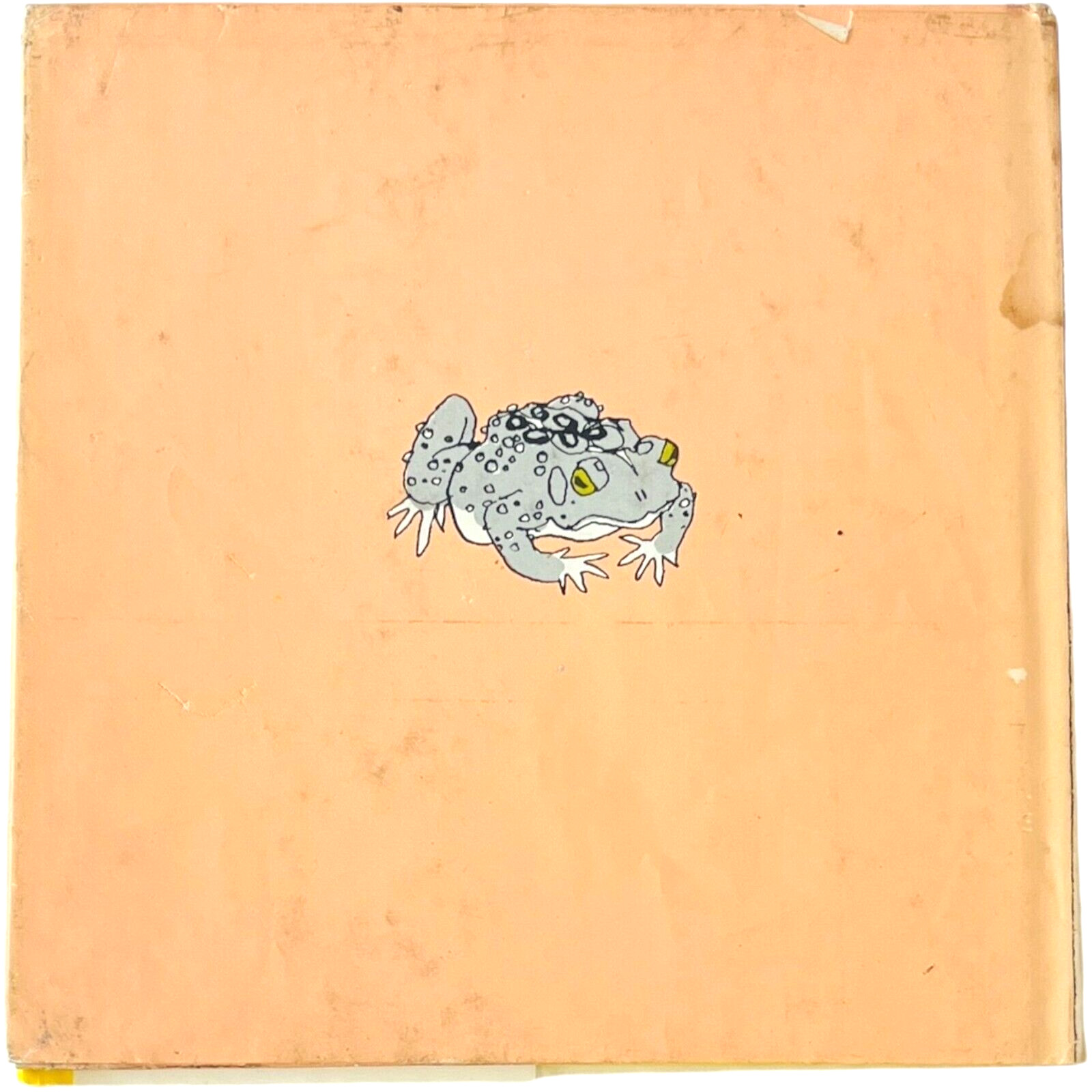 Toad by Anne Rockwell illustrated by Harlow Rockwell – Hardcover Book 1972