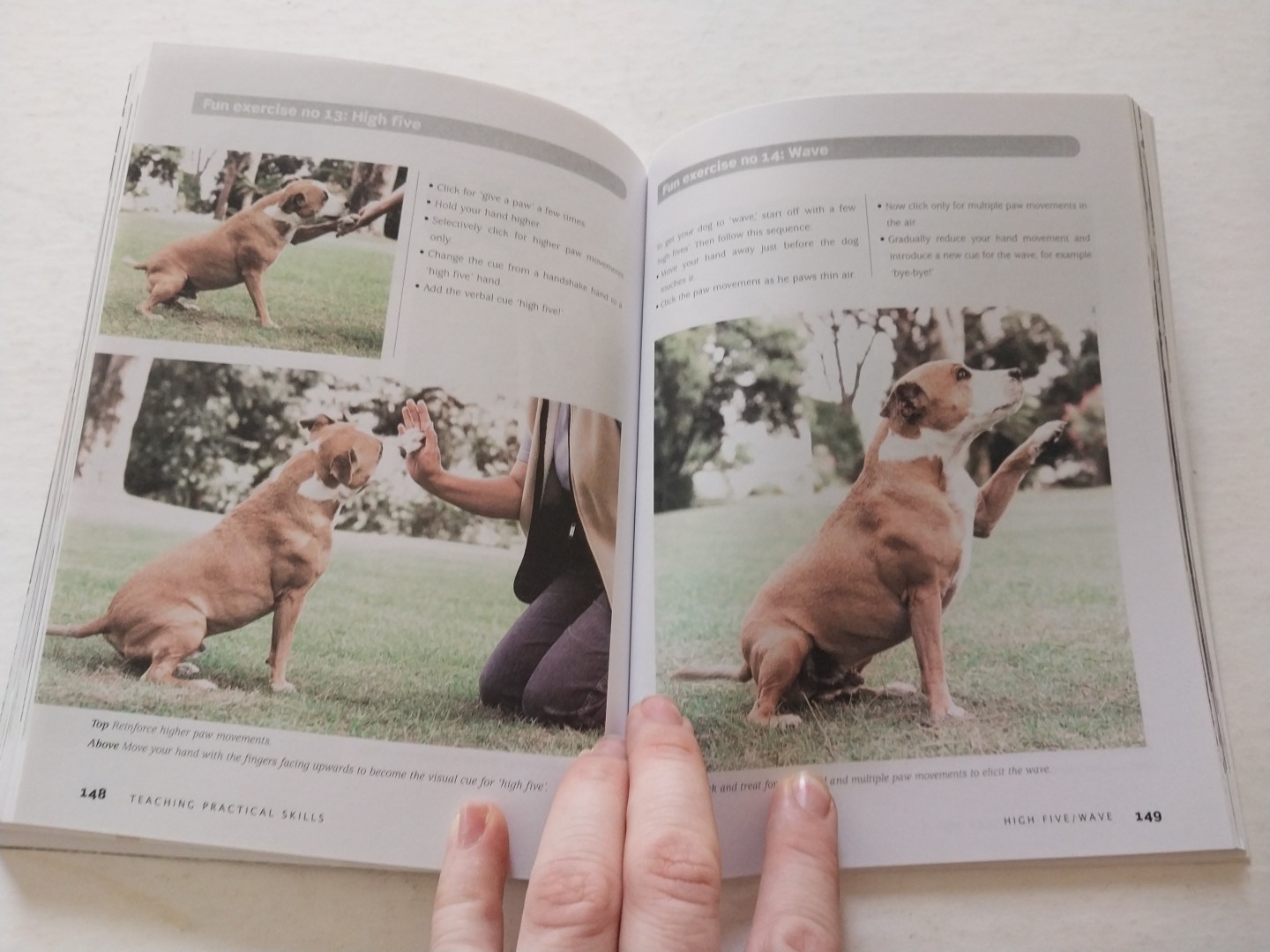 Bad Dog to Good Dog : A New Approach to Dog Psychology and Training by Quixi…