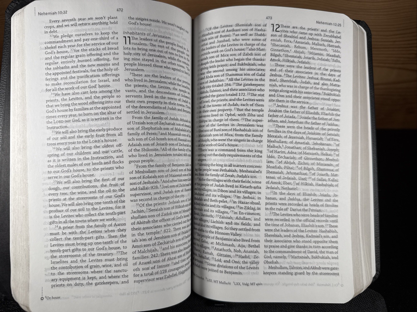 CEB Common English Thinline Bible with Apocrypha (2011 DecoTone Black)