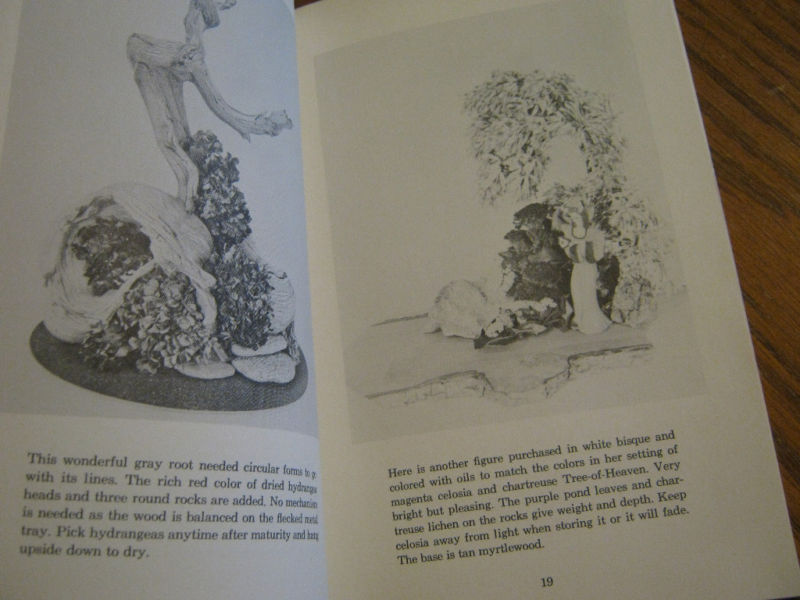 1960 Woodforms and Dry Material by Naida Gilmore Hayes