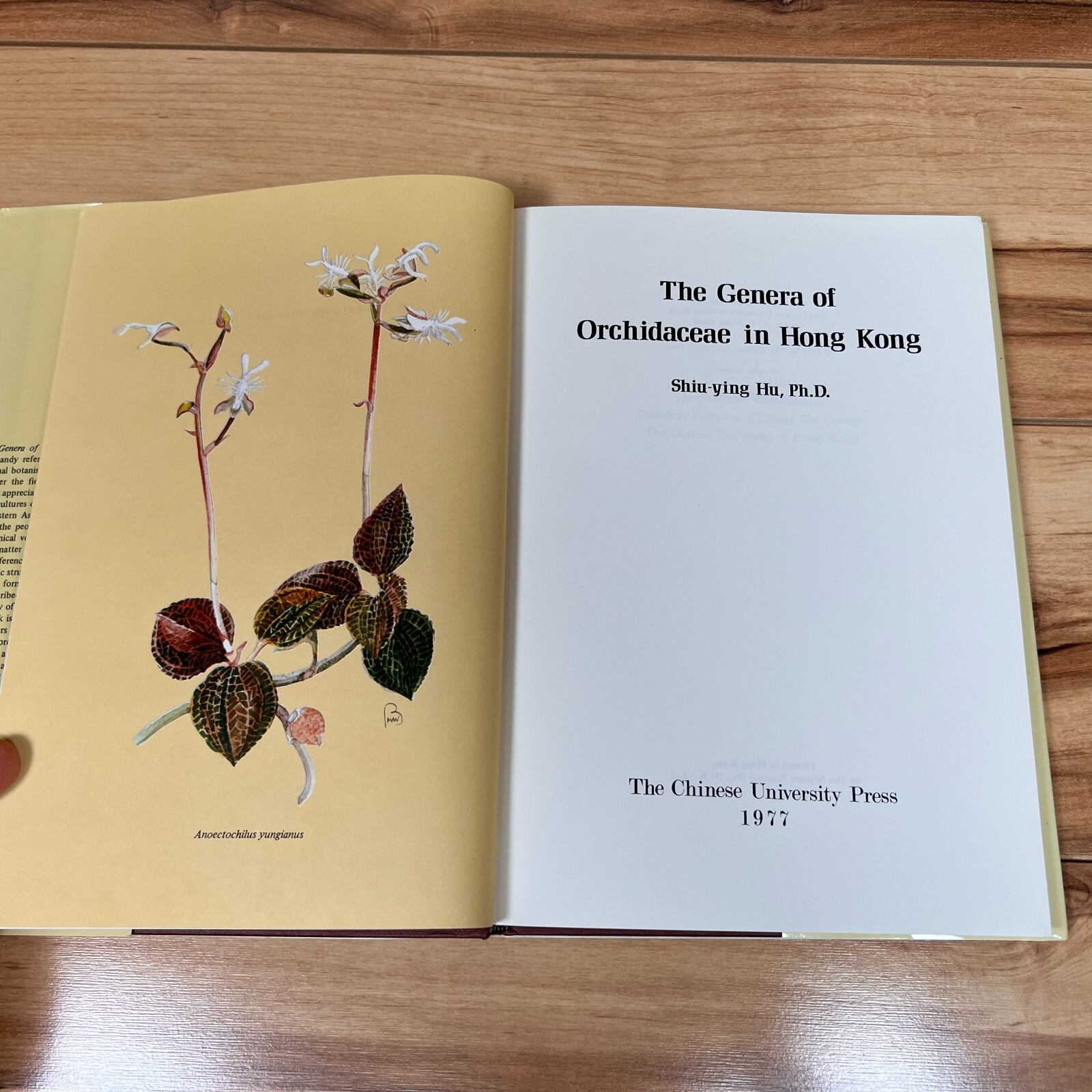 The Genera of Orchidaceae in Hong Kong by Shiu-ying Hu VERY GOOD VTG 1977 1st Ed