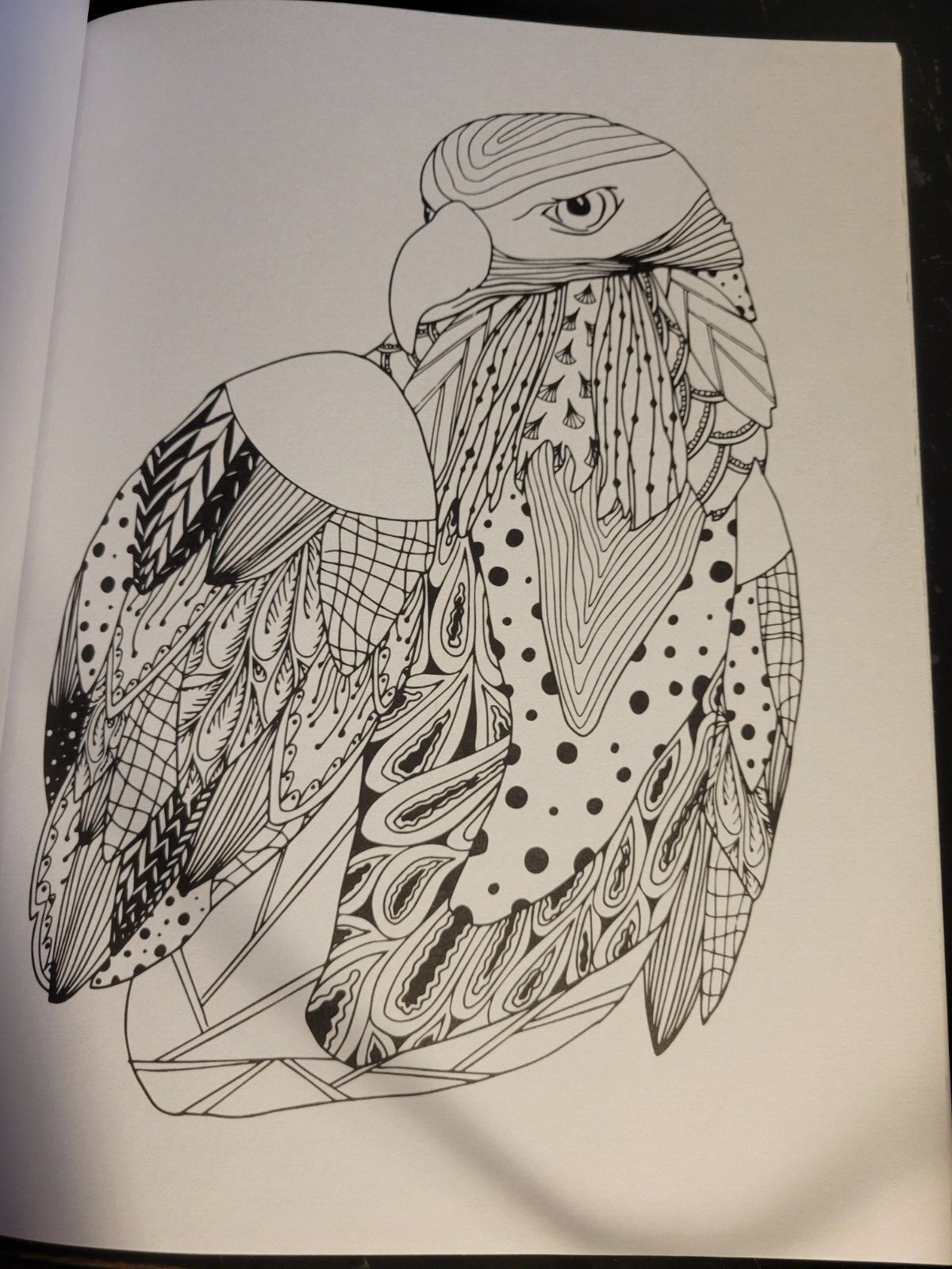 MAGNIFICENT CREATURES Vol 13 Adult Coloring Book by TOPIX MEDIA – 47 PRINTS
