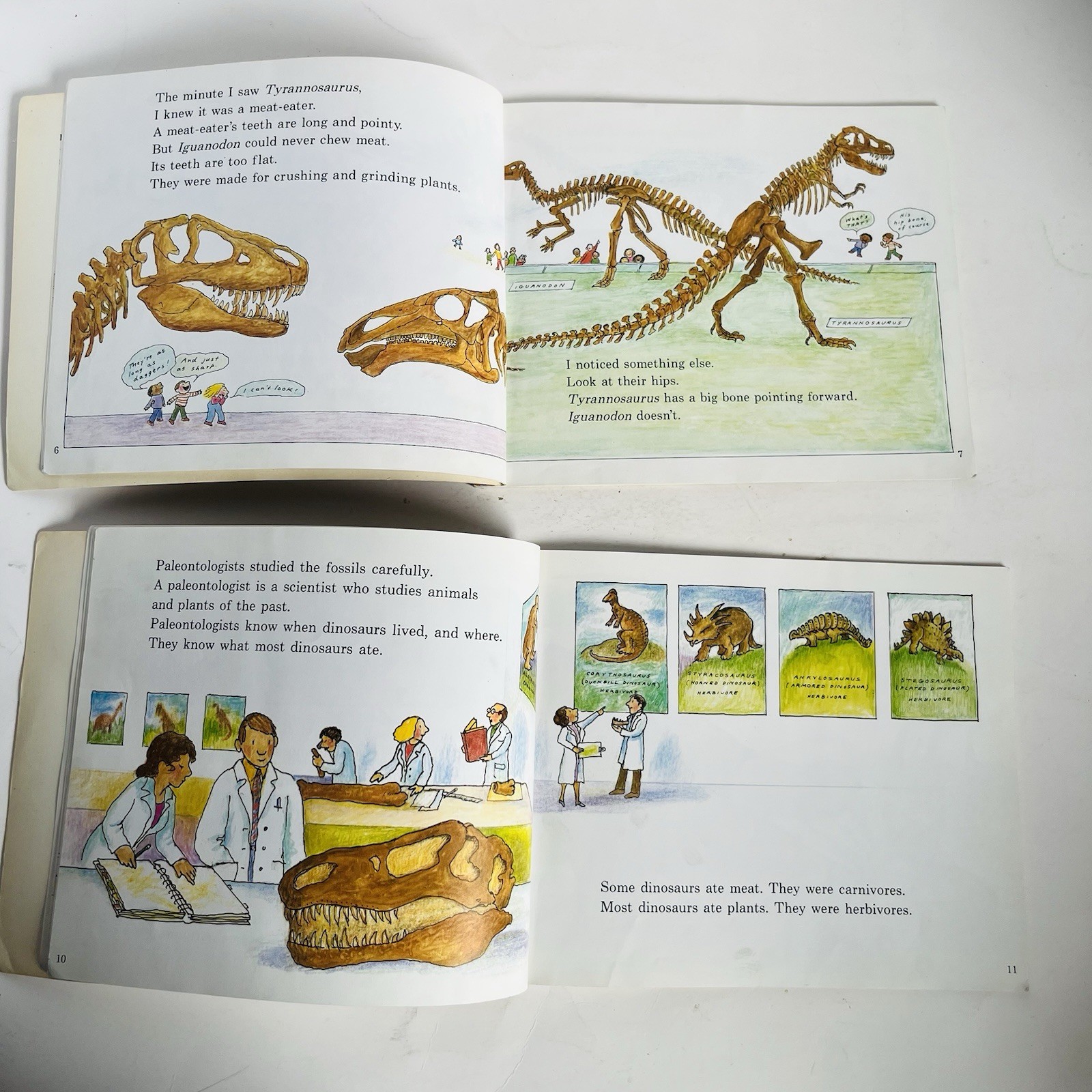Lets Read and Find Out Science Book Lot 12 Hamburger Skeleton Planets Dinosaur P