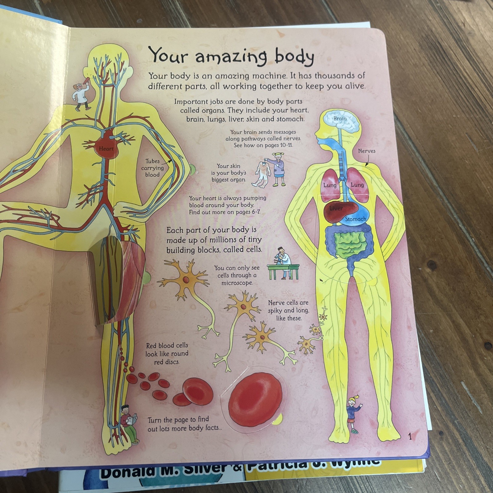 Lot Of 6 Inside Your Body Usborne Dover Coloring Book Set Human Children