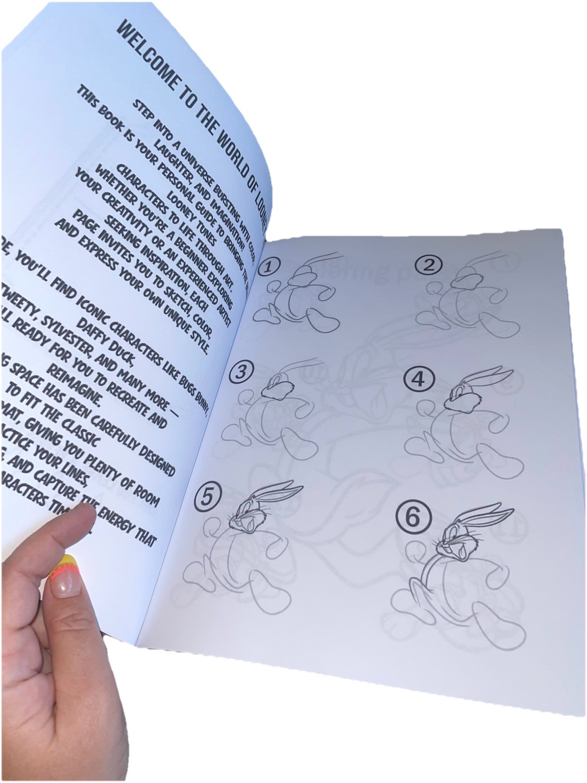 How to Draw Looney Tunes: Learn to Draw Bugs Bunny and Friends Paperback NEW