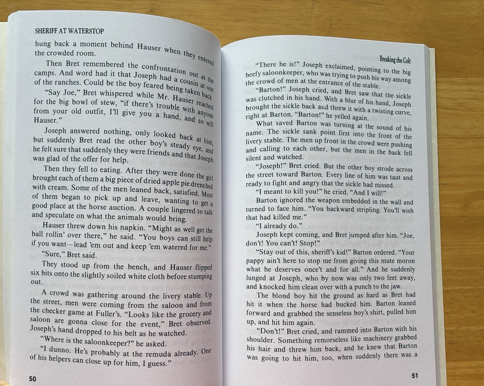 Bob Jones Book Links Journey Into Literature Sheriff at Waterstop Book & Lessons