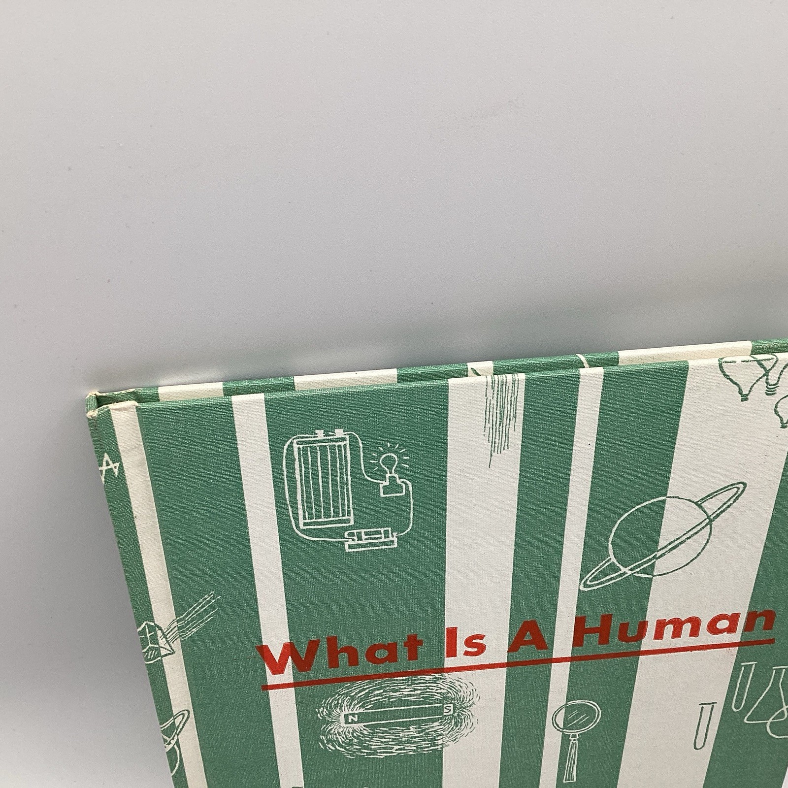 WHAT IS A HUMAN, (what is series) 1964 Benefic Press, by Melvin Alexenberg