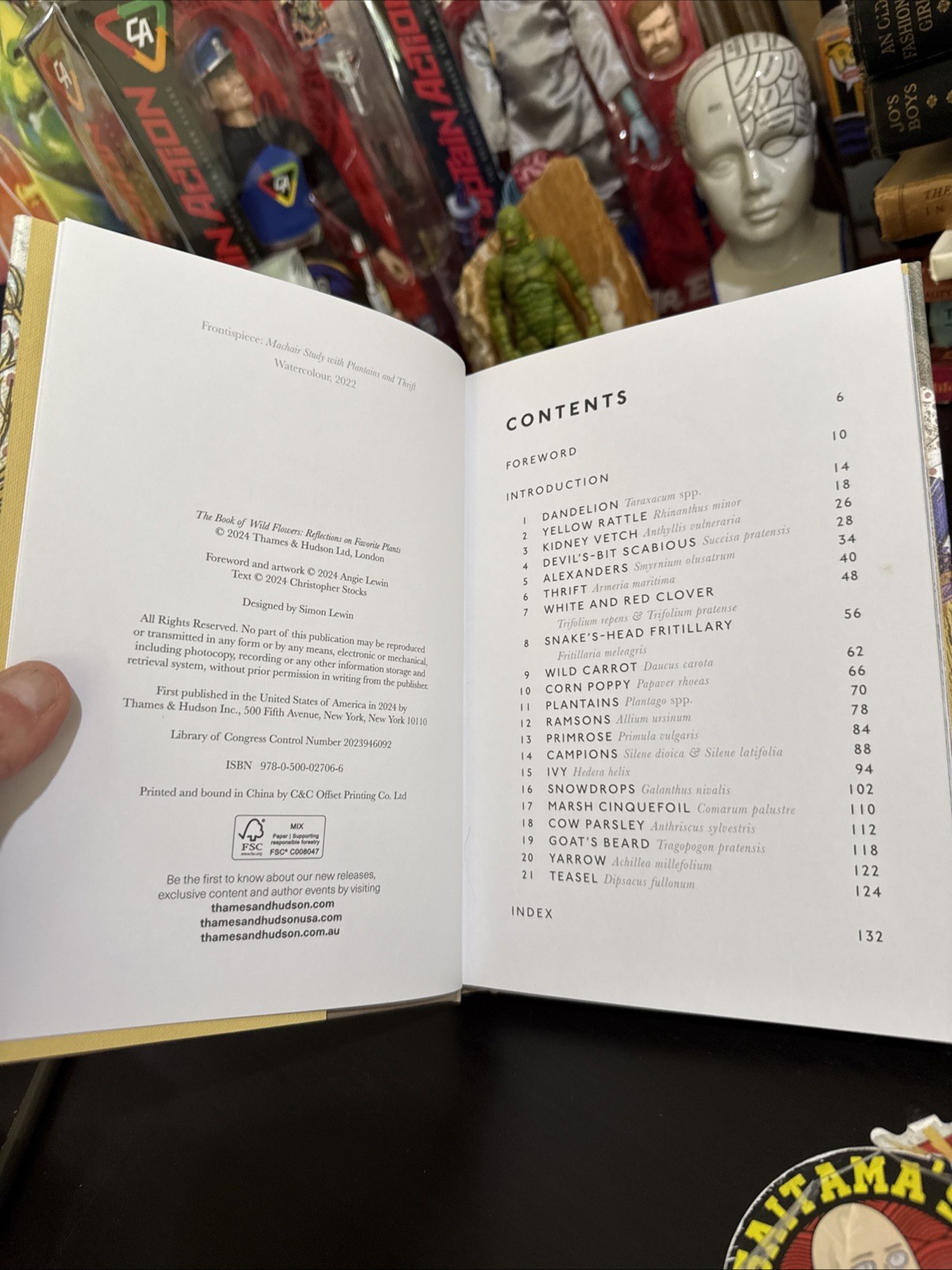 Book of Wild Flowers : Reflections on Favorite Plants by Lewin & Stocks HC DJ