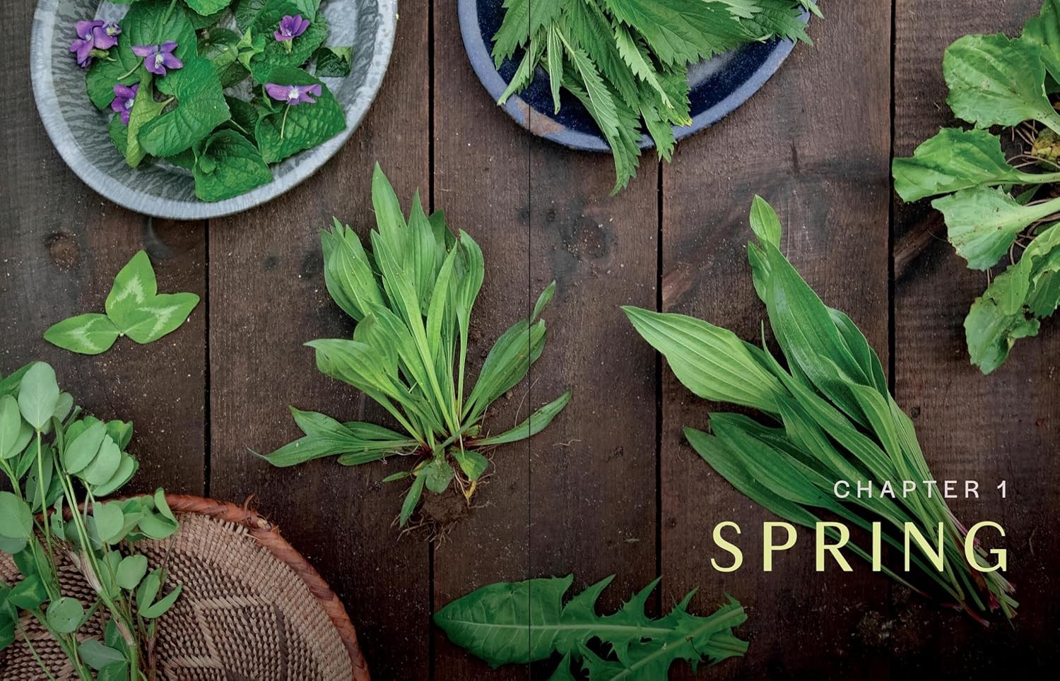 Seasonal Herbs: 48 Edible and Medicinal Varieties for Kitchen and Garden