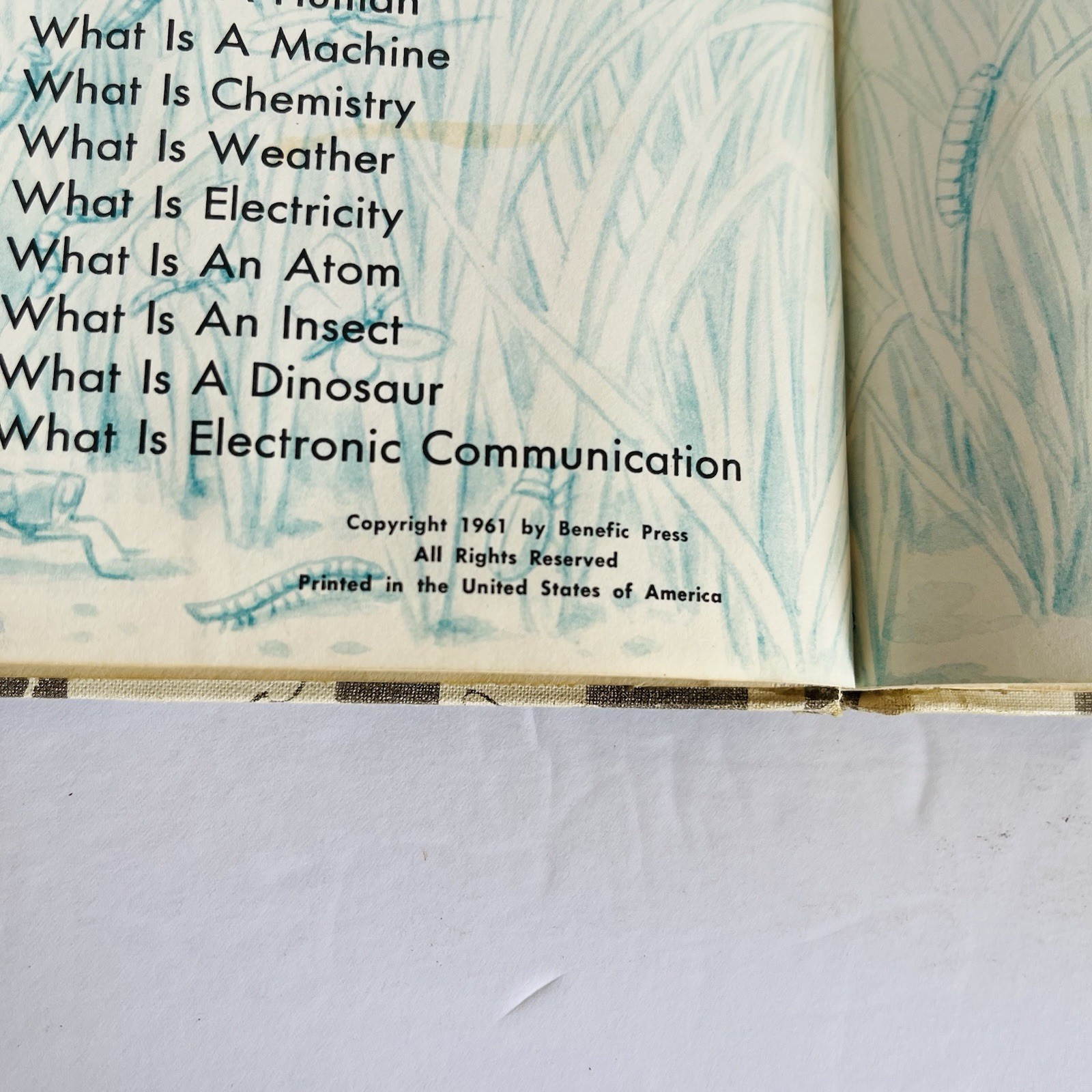 What is An Insect Charles D Neal 1961 Vintage Childrens Science Book Homeschool