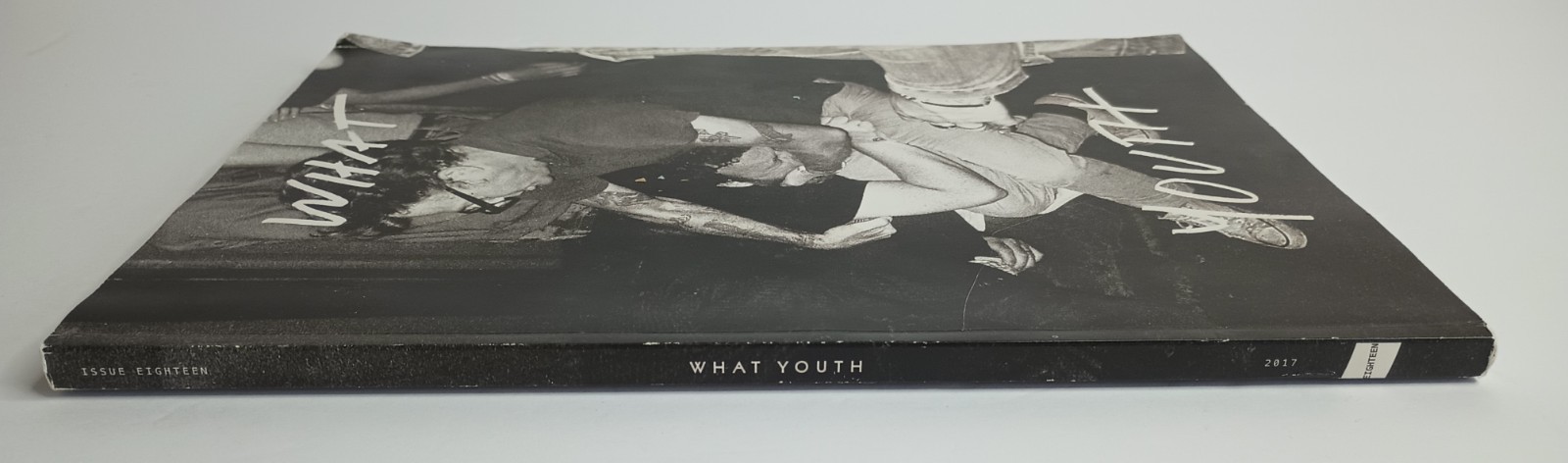 WHAT YOUTH Magazine #18 – Thomas Campbell Mike Watt 2017 Skate Surf