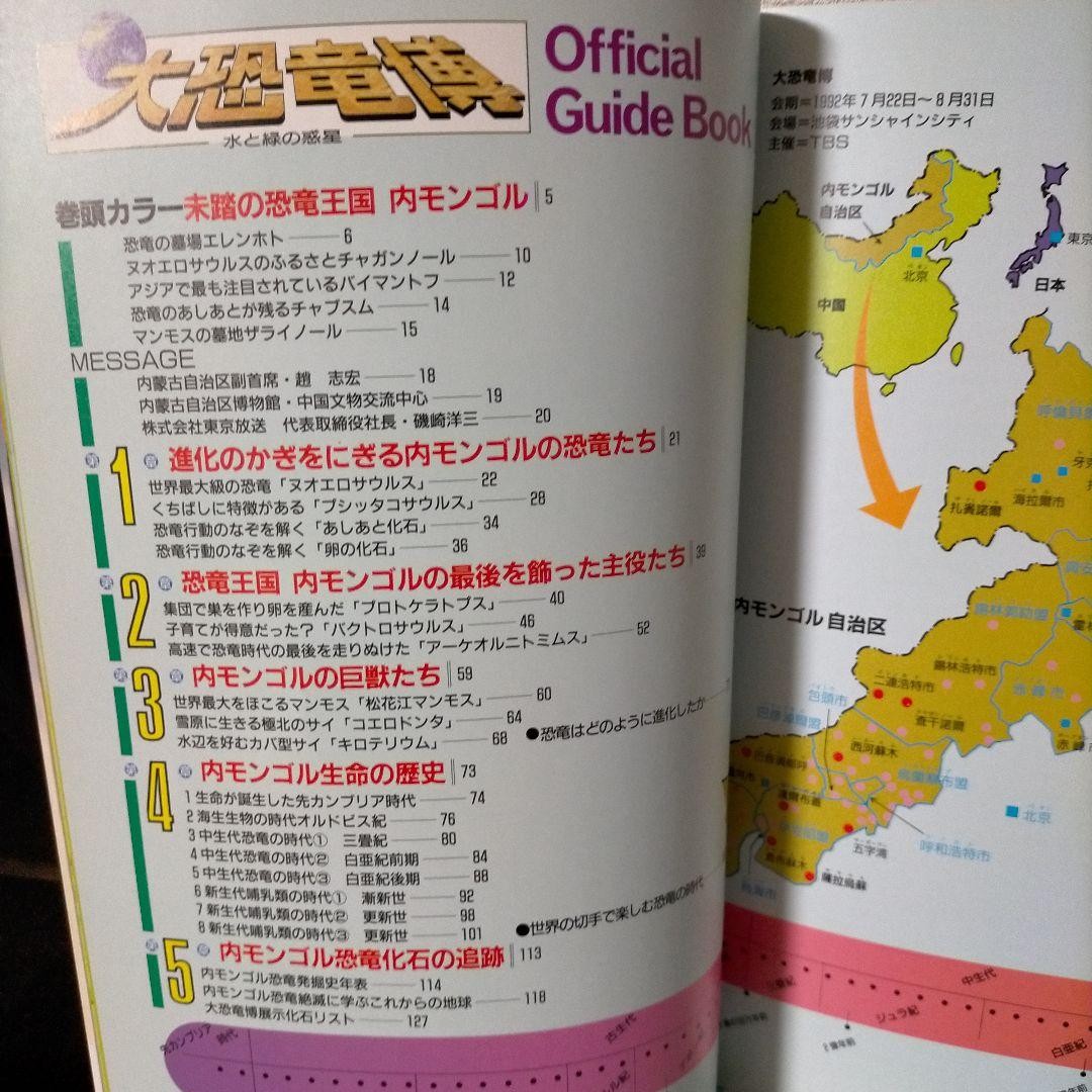 Official Guide Book Dinosaur Expo Fossils Photos China 21cm