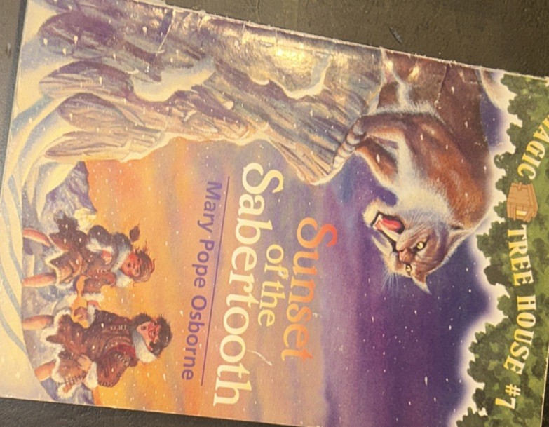 Magic Tree House Books 5-8 Boxed Set : Night of the Ninjas; Afternoon on the…