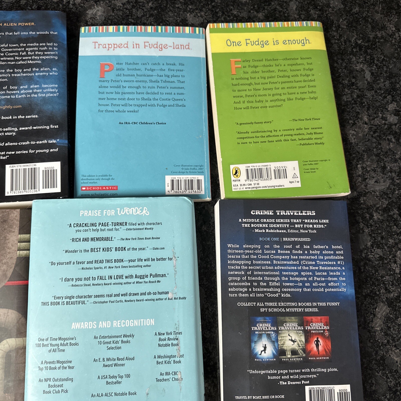 Lot of 12 Chapter Books BOYS Youth Early Reader Young Adults Children Adventure