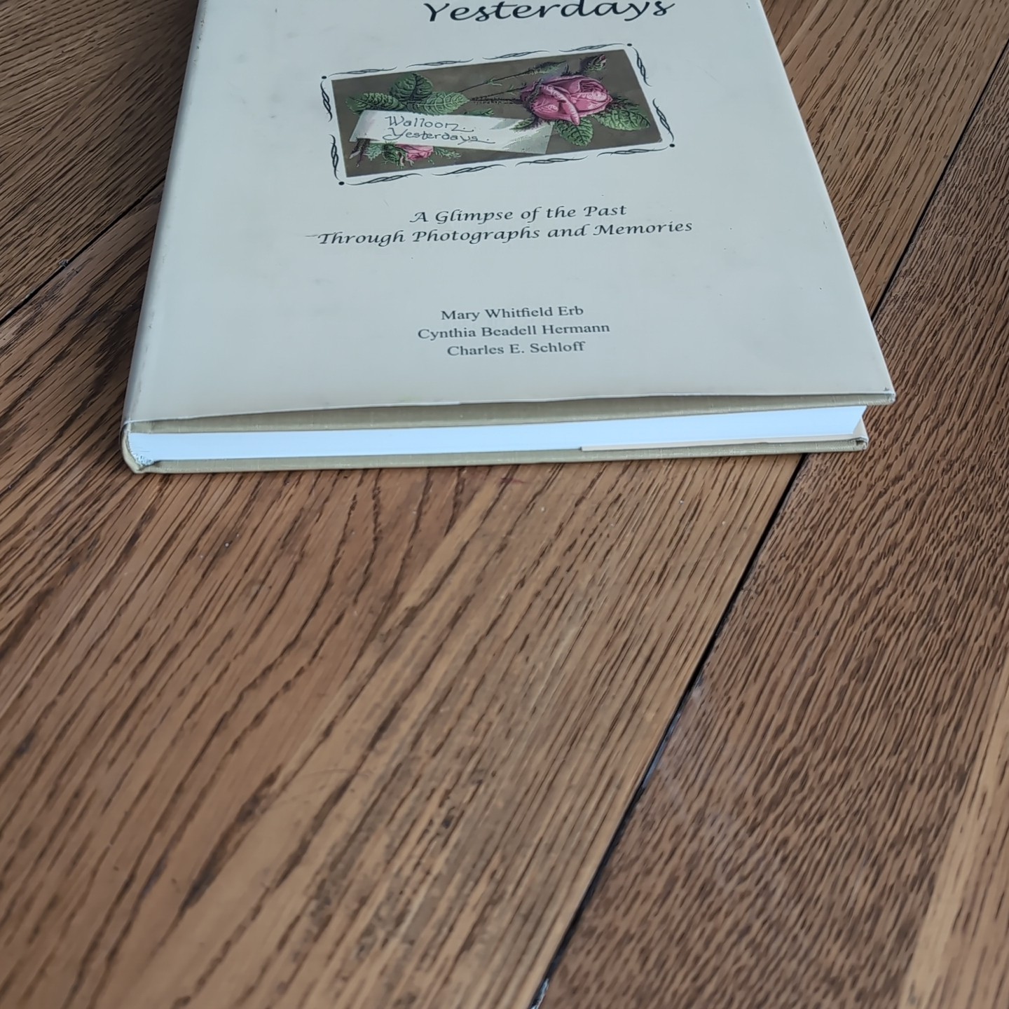 Walloon Yesterdays: A glimpse of the Past Through Photographs & Memories HC