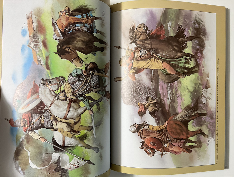 Celtic Warriors: 400 Bc – 1600 Ad – Tim Newark SC Free USA Shipping