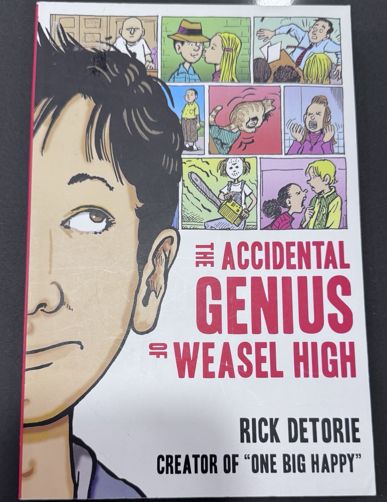 Accidental Genius of Weasel High by Rick Detorie (2011, Trade Paperback)