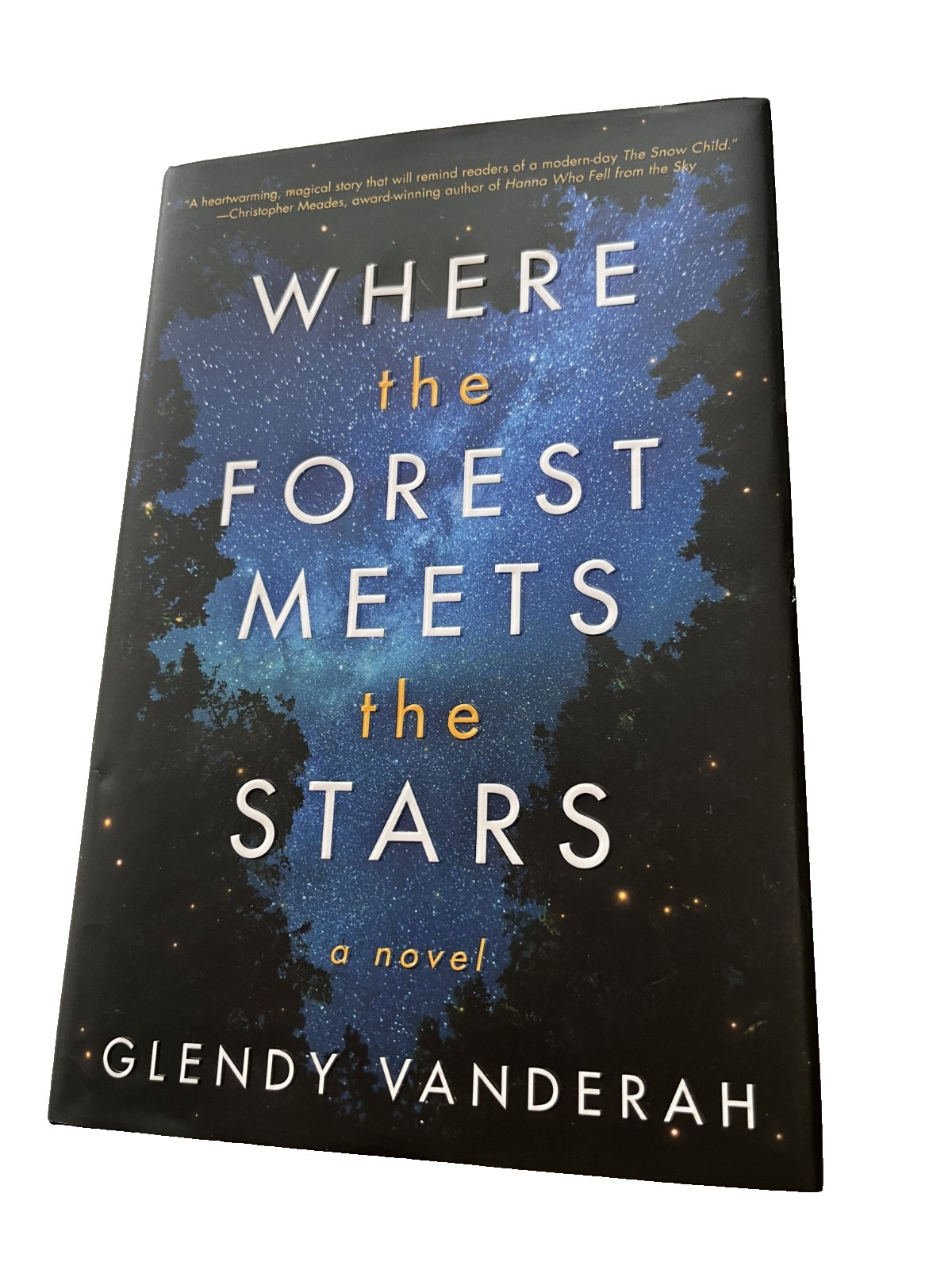 Where the Forest Meets the Stars by Glendy Vanderah Brand New Hard Cover