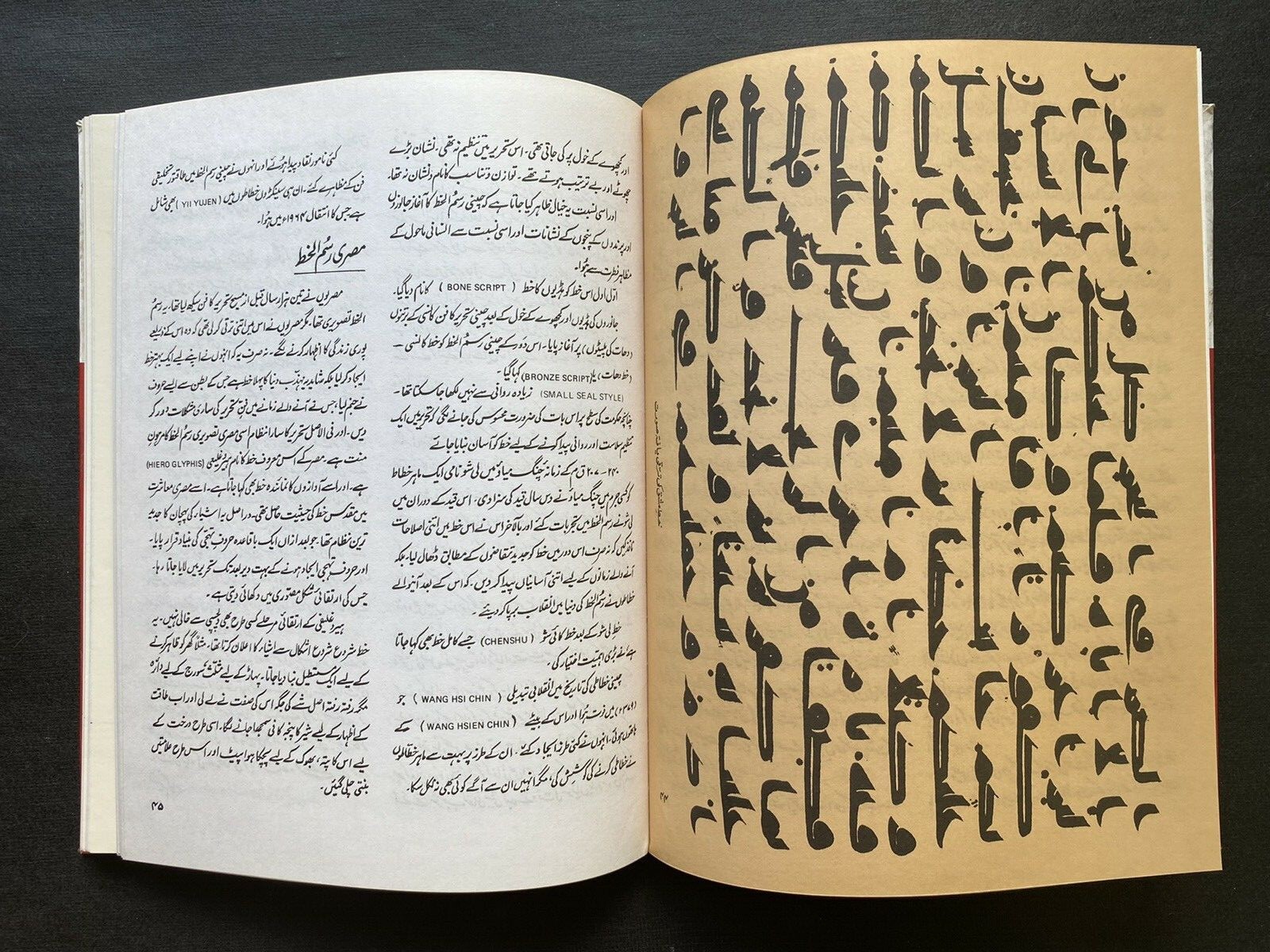 History of Islamic Calligraphy / Tareekh-e-Khattati / تاریخ خطاطی by Ajaz Rahi