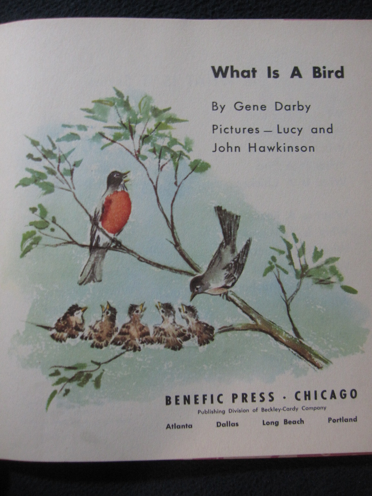 What is a Bird (The What is it series) Darby, Gene